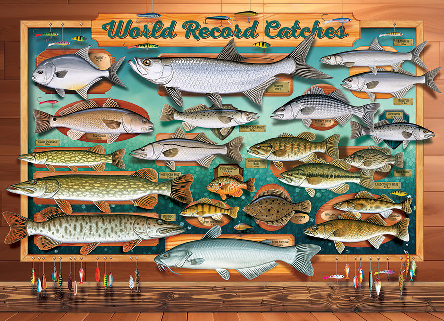 World Record Catches | 500 Piece