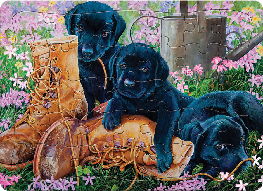 Chiots de laboratoire noir (plateau) | Plateau de 35 pièces