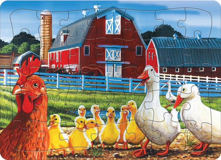 Canards de Dwight (plateau) | Plateau de 35 pièces