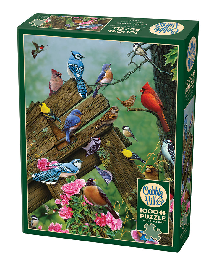 40167-birds-of-the-forest-pkg-
