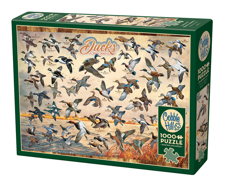 40177-ducks-of-north-america-