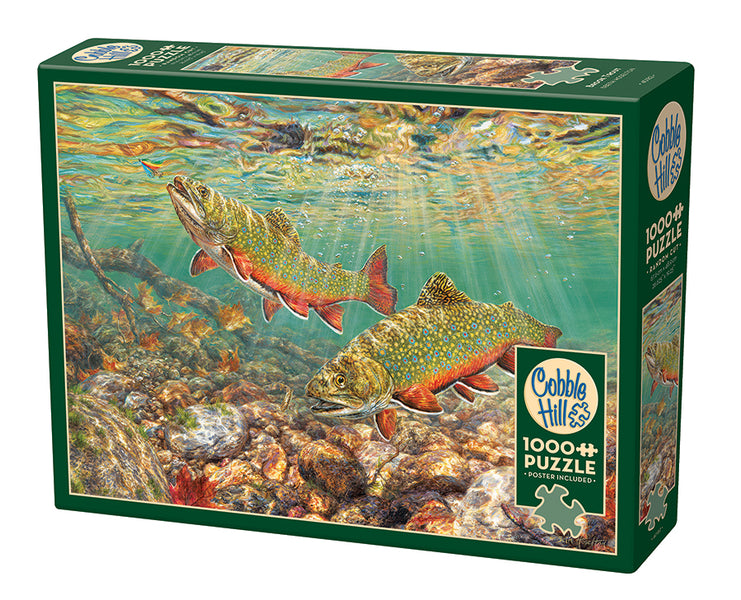 40182-brook-trout-pkg-