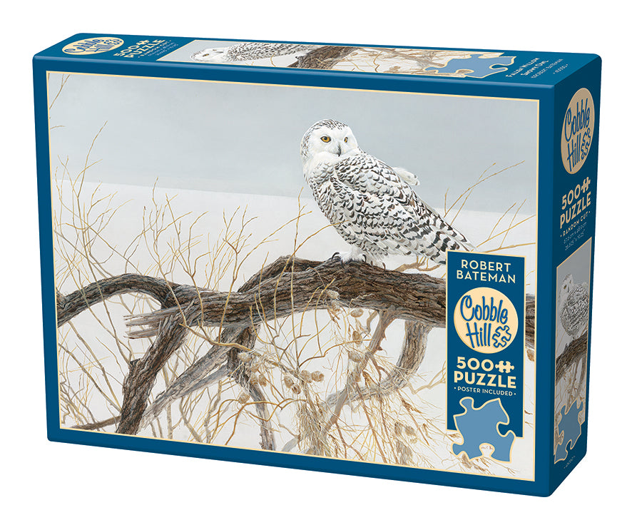 45050-fallen-willow-snowy-owl-