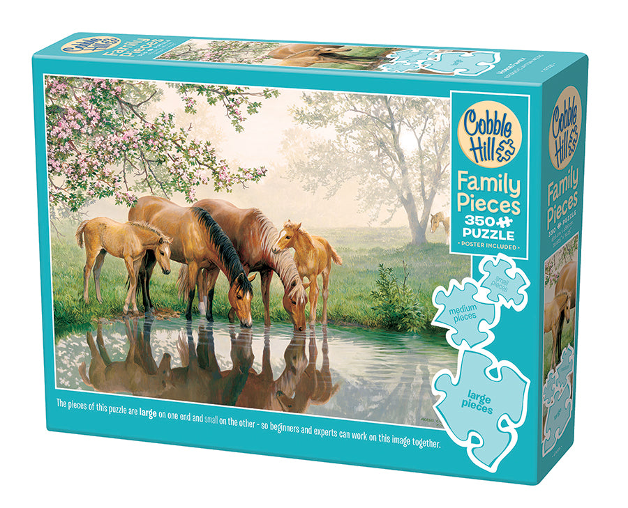 47025-horse-family-pkg-